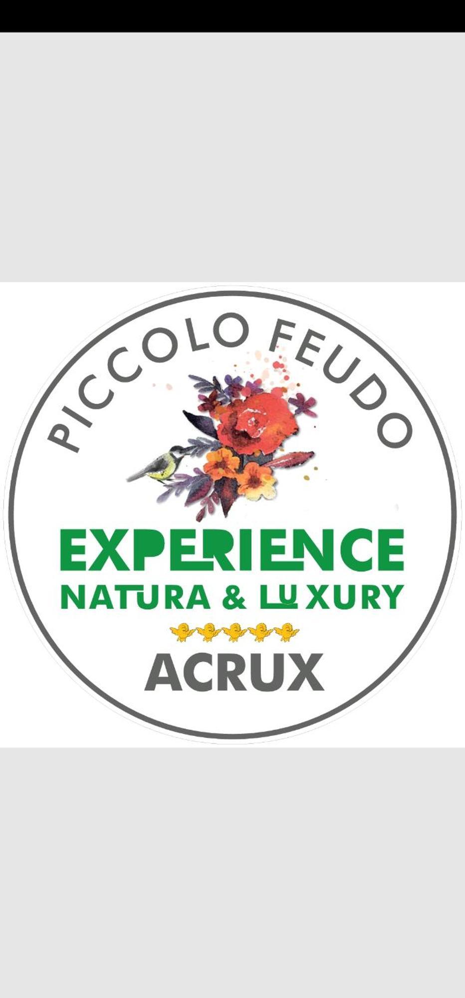 Piccolo Feudo Green Resort (Adults Only) Viterbo Pokoj fotografie